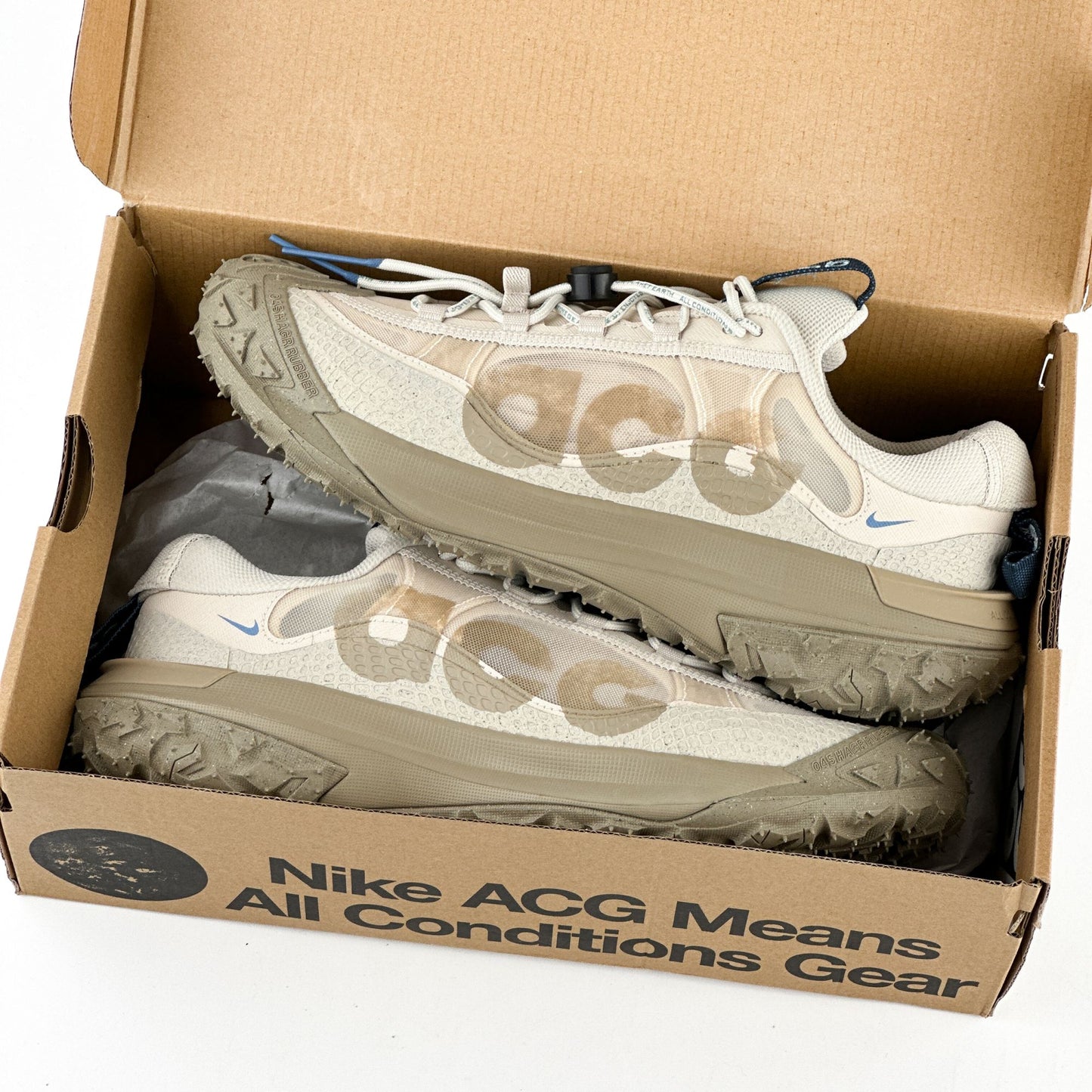 Nike ACG Mountain Fly 2 Low