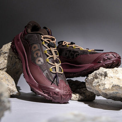 Nike ACG Mountain Fly 2 Low GORE-TEX